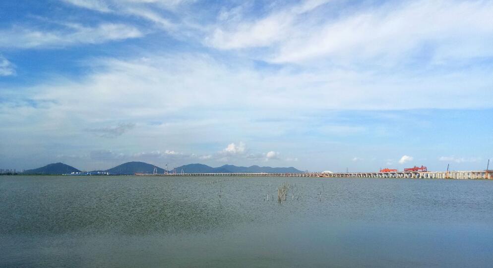 广东省混凝土 珠海市混凝土 珠海洪鹤大桥hhtj4标段桥梁桩基均位于鹤